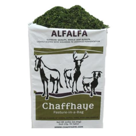 Chaffhaye Alfalfa