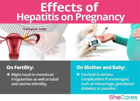 Hepatitis And Getting Pregnant Shecares
