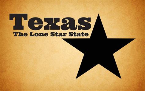 Vinyl Decal Texas The Lone Star State