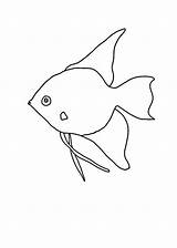 Angelfish 101printable Olphreunion sketch template