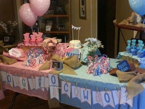 Country Gender Reveal Party Ideas Pinterest