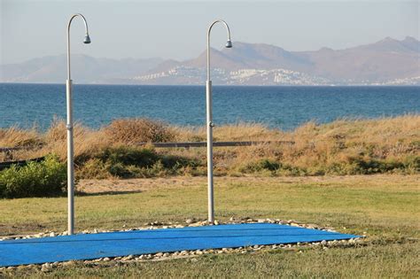 Jump into the Excitement: 10 Trampoline Fun Facts Revealed!