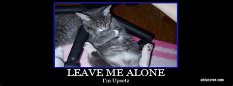 Leave Me Alone Funny Quotes Quotesgram