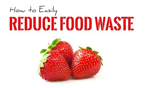 How To Reduce Food Waste The Ultimate Guide