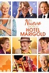 El nuevo exótico Hotel Marigold (2015) Película - PLAY Cine
