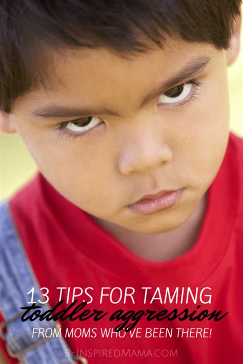 13 Tips For Taming Toddler Aggression From The Mouths Of Moms