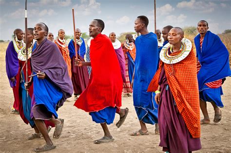 Masai Krieger Tanzen Traditionellen Jumps So Kulturellen Zeremonie Tansania Stockfoto Und Mehr