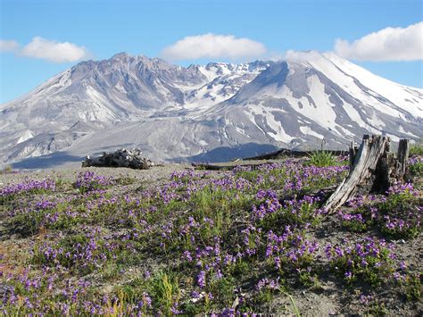 Return To Mount St Helens Northwestphotos