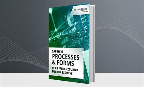 e book sap hcm processes and forms konfigurieren