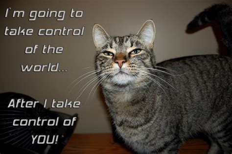 World Domination Cat By Kravinmorhead On Deviantart