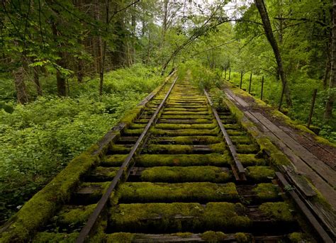 Abandoned Rail Abandoned Train Train Tracks Nature