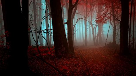 Strange Dream By Janek Sedlar Halloween Spooky Creepy Autumn