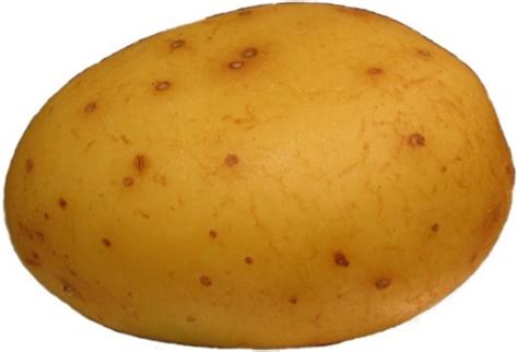 Potato Image Gallery List View Know Your Meme