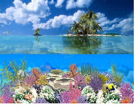 Download Coral Island Animated Wallpaper This Is The Image Displayed