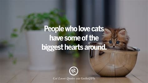 Cute Cat Love Quotes