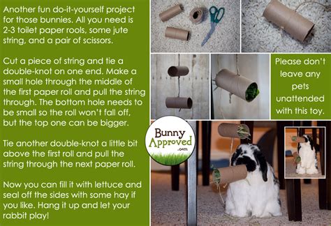 diy rabbit toy ideas bunny approved house rabbit toys snacks and accessories
