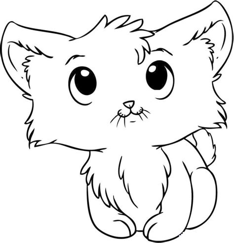 Get This cat coloring pages for kids 7fg50
