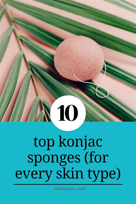 10 Best Konjac Sponges Of 2020 For Every Skin Type Skin Care Ox