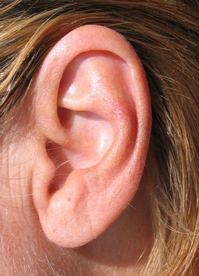 Ear Cartilage Infection Symptoms Livestrongcom