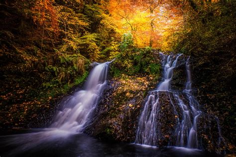 Wallpaper Id 1044919 Tree Forest Surrounded 4k Waterfall