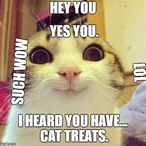 Cat Meme Smileing
