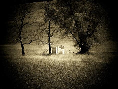 Shed And Trees Photograph By Michael L Kimble Pixels
