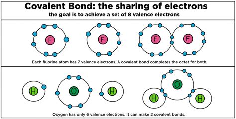 Covalent Bonding Biology — Definition And Role Expii