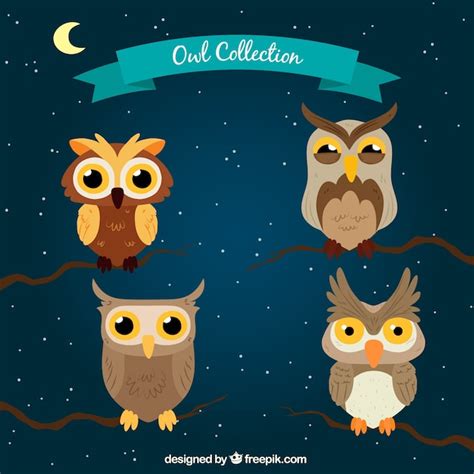 Cartoon Owl Collection At Night Free Vector