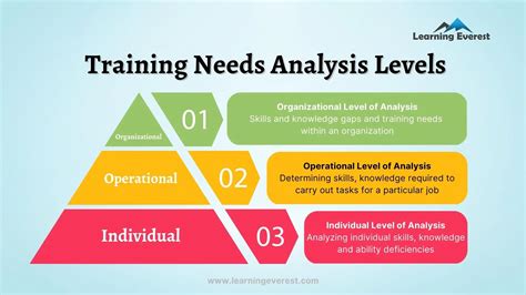 3 Critical Levels Of Training Needs Analysis