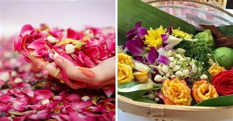 Penamaan kejawen bersifat umum, biasanya karena bahasa pengantar ibadahnya menggunakan bahasa jawa. Amalan Mandi Bunga Jangan Sampai Jadi Syirik, Ini ...