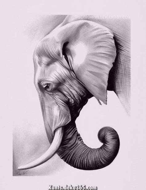Zeichnung Des Elefanten Design Magazin