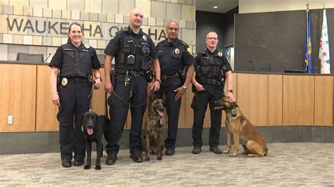 Waukesha Police Department Swears In 3 New K 9 Officers