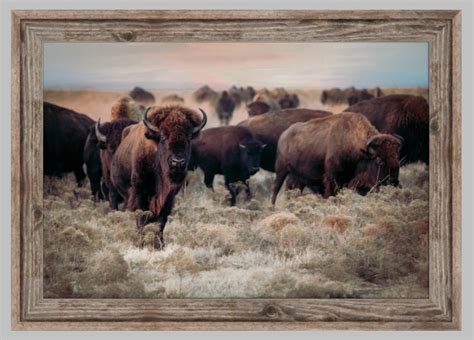 Bison Wall Art Canvas Print Western Home Decor Canvas Or Etsy