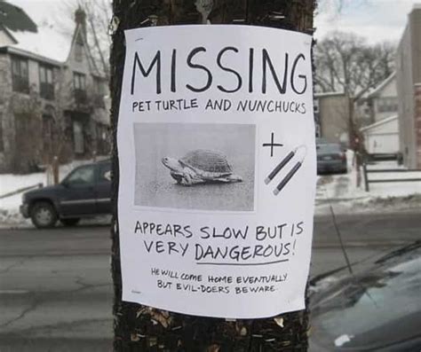 Funny Posters For Missing People And Cats Missing Posters