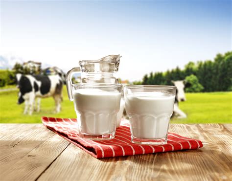 What Exactly Is In Cows Milk •