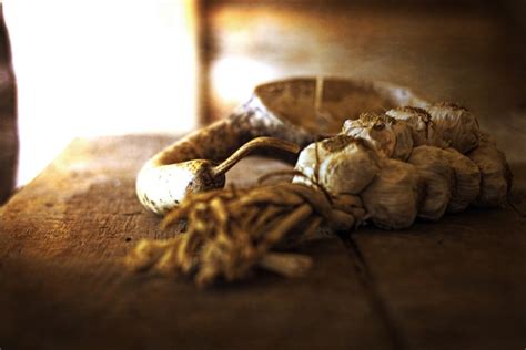 Increase your opportunities for solid and working from home has several advantages including: Creative Still Life Photography Ideas | 99inspiration