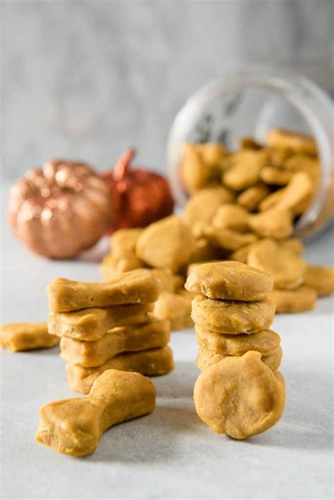 So, how are you going to decorate your aquarium? Soft Baked Peanut Butter Pumpkin Homemade Dog Treats • The ...