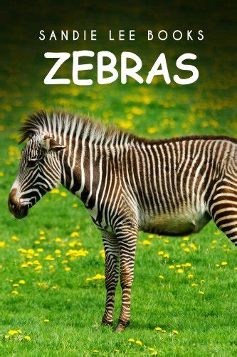 Zebras Sandie Lee Books Childrens Animal Books Age 4 6 Wildlife