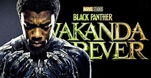 Black Panther: Wakanda Forever Movie 2022: release date, cast, story ...