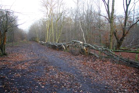 Work in the wood | Friends of Northaw Great Wood