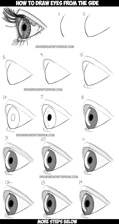 How To Draw Realistic Eyes From The Side Profile View Step By Step Drawing Tutorial