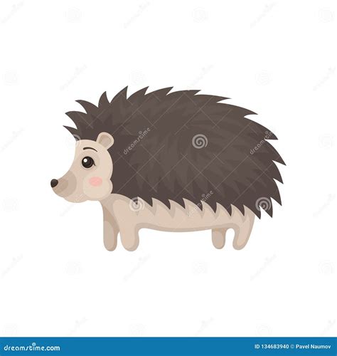 Cute Lovely Hedgehog Prickly Animal Cartoon Character Side View Vector