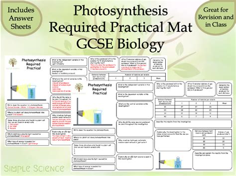 Photosynthesis Required Practical Mat Aqa Gcse Biology Teaching Resources