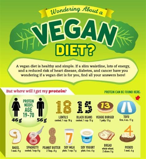 Vegan Diet Protein