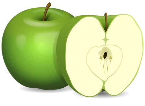 Apple PNG Transparent Image Download Size X Px