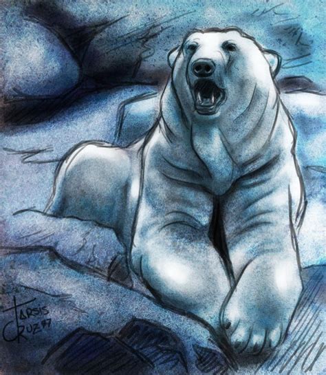 Polar Bear Sketch By ~aleph777 On Deviantart Animal Drawings Pencil