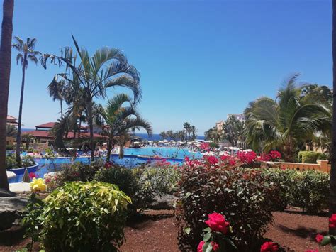 Pool Bahia Principe Sunlight Costa Adeje Costa Adeje Holidaycheck