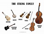 Musical Instrument Families | Instrument families, Instrument family ...