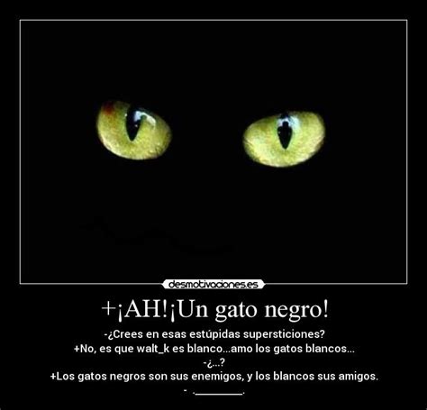 Álbumes 98 Foto Nombre De Gato Negro Con Blanco Alta Definición
