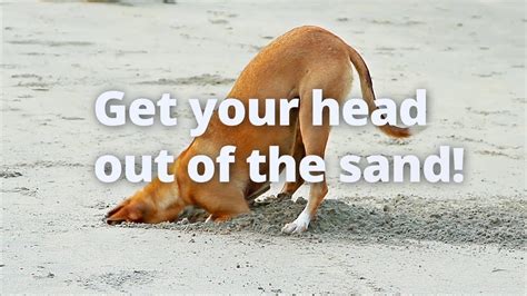 Pre Diabetes Is Serious Get Your Head Out Of The Sand Myhealthtest